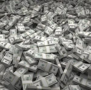 Meet your Posher, Timothy